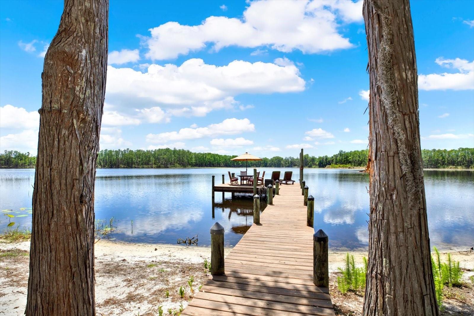 4541 SCHOOL RD, LAND O LAKES, FL, 34638