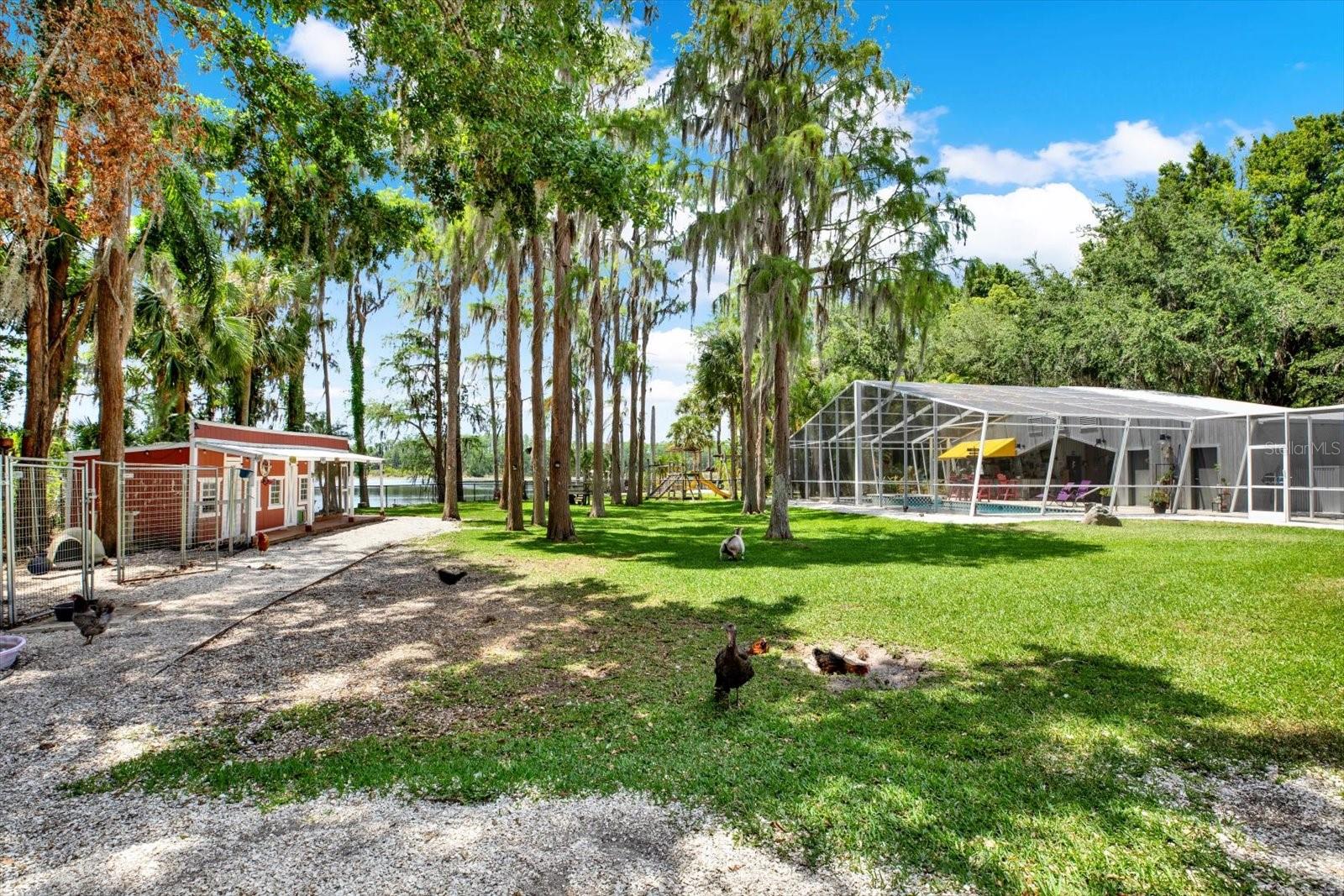 4541 SCHOOL RD, LAND O LAKES, FL, 34638