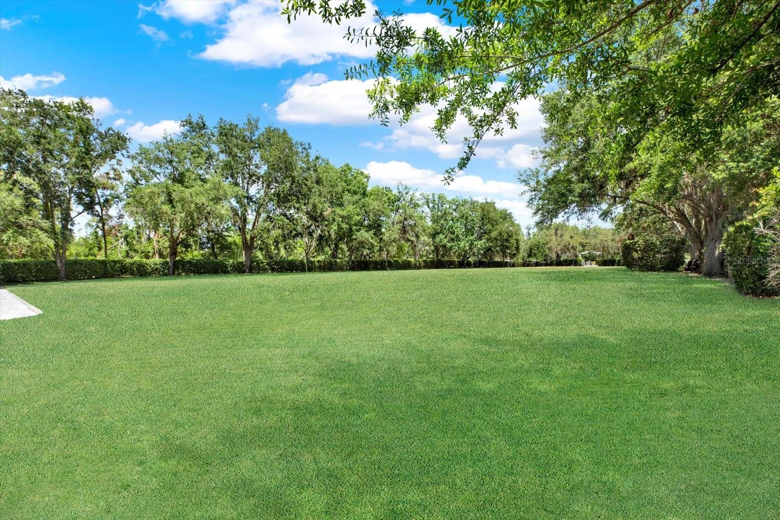 4541 SCHOOL RD, LAND O LAKES, FL, 34638