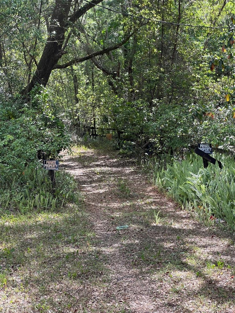 288 MCMILLON DR, ORANGE CITY, FL, 32763