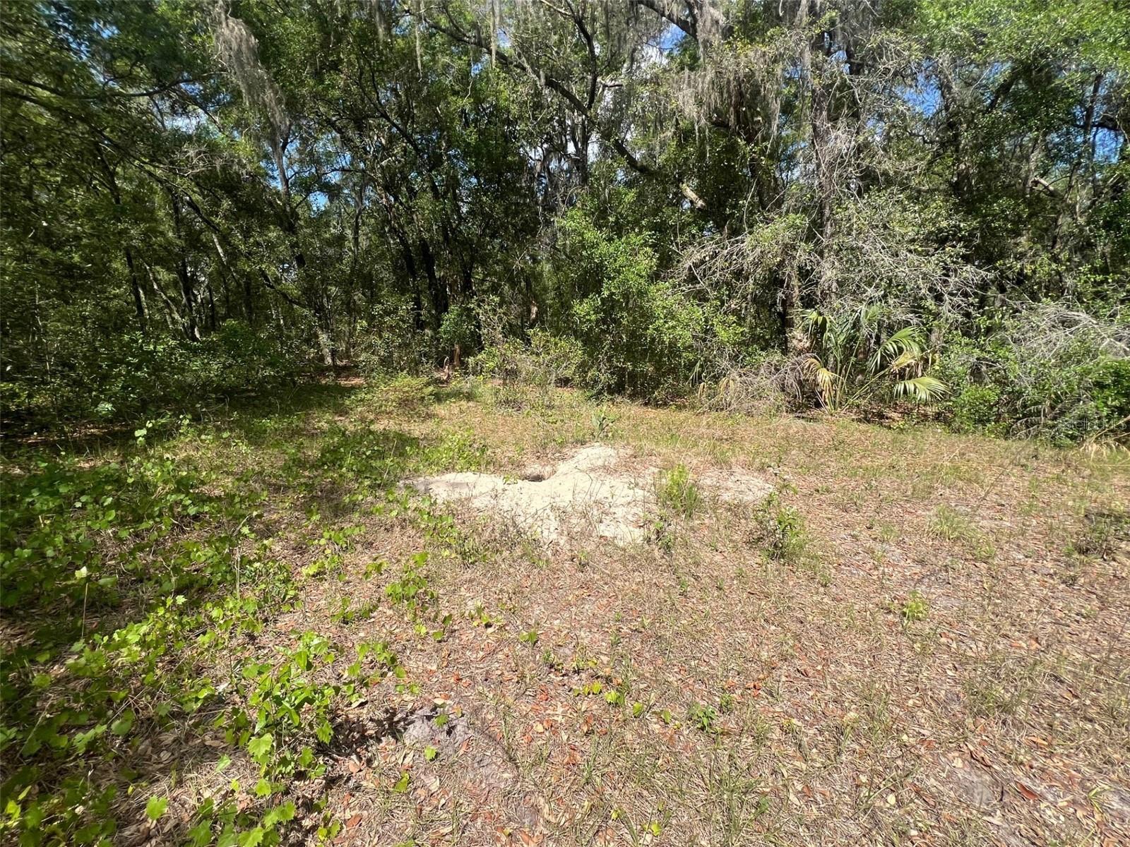 288 MCMILLON DR, ORANGE CITY, FL, 32763