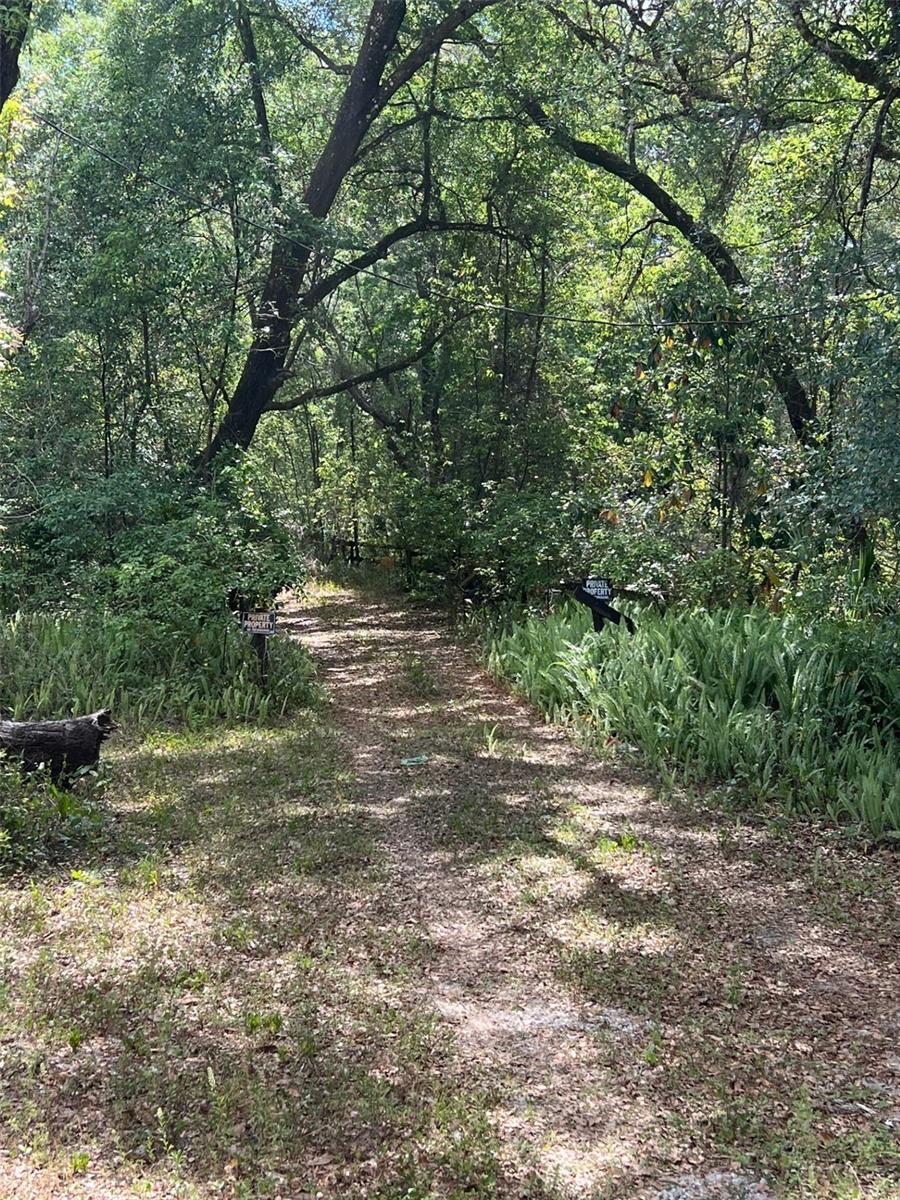 288 MCMILLON DR, ORANGE CITY, FL, 32763