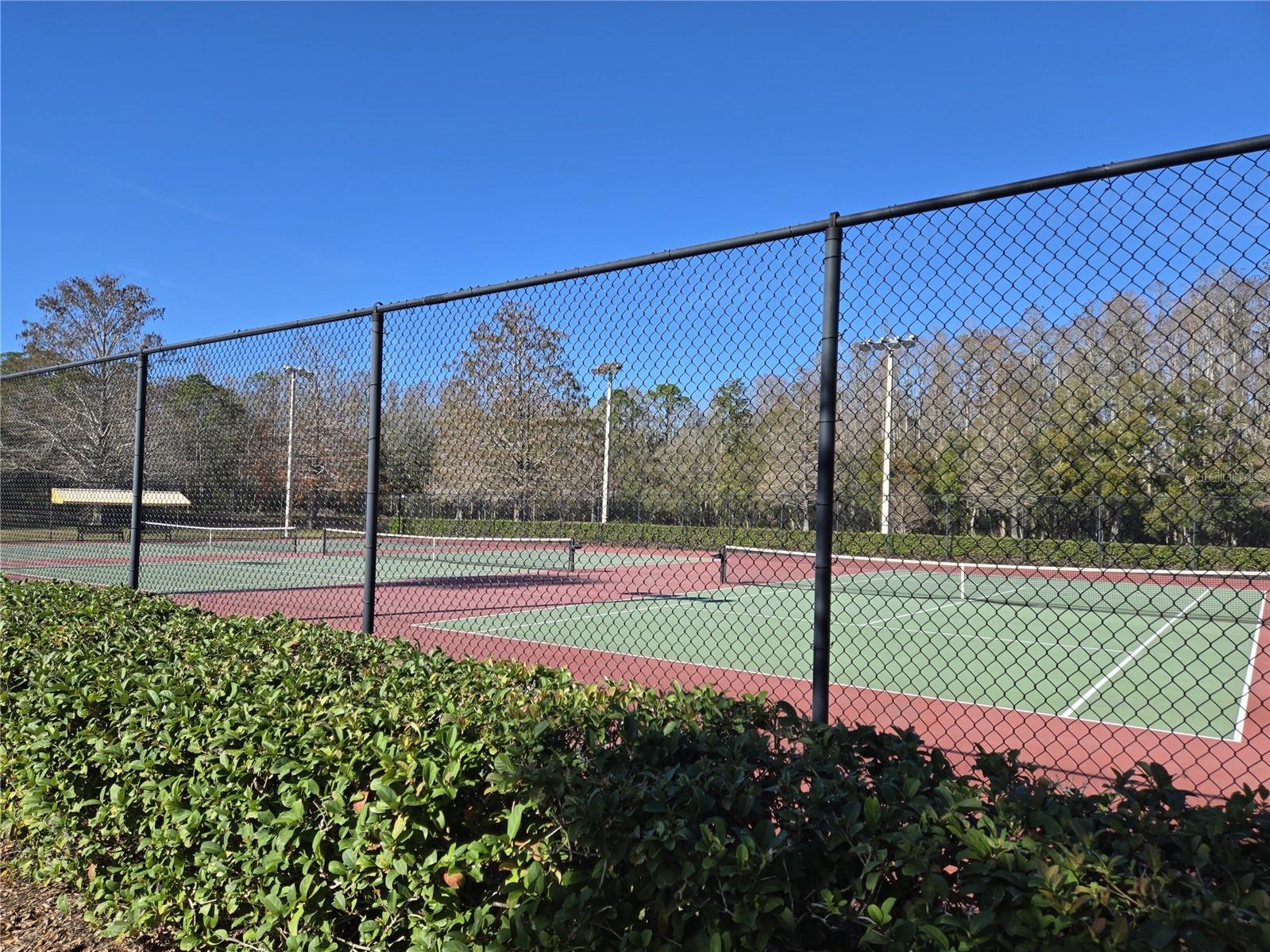 3358 MERMOOR DR #2106, PALM HARBOR, FL, 34685