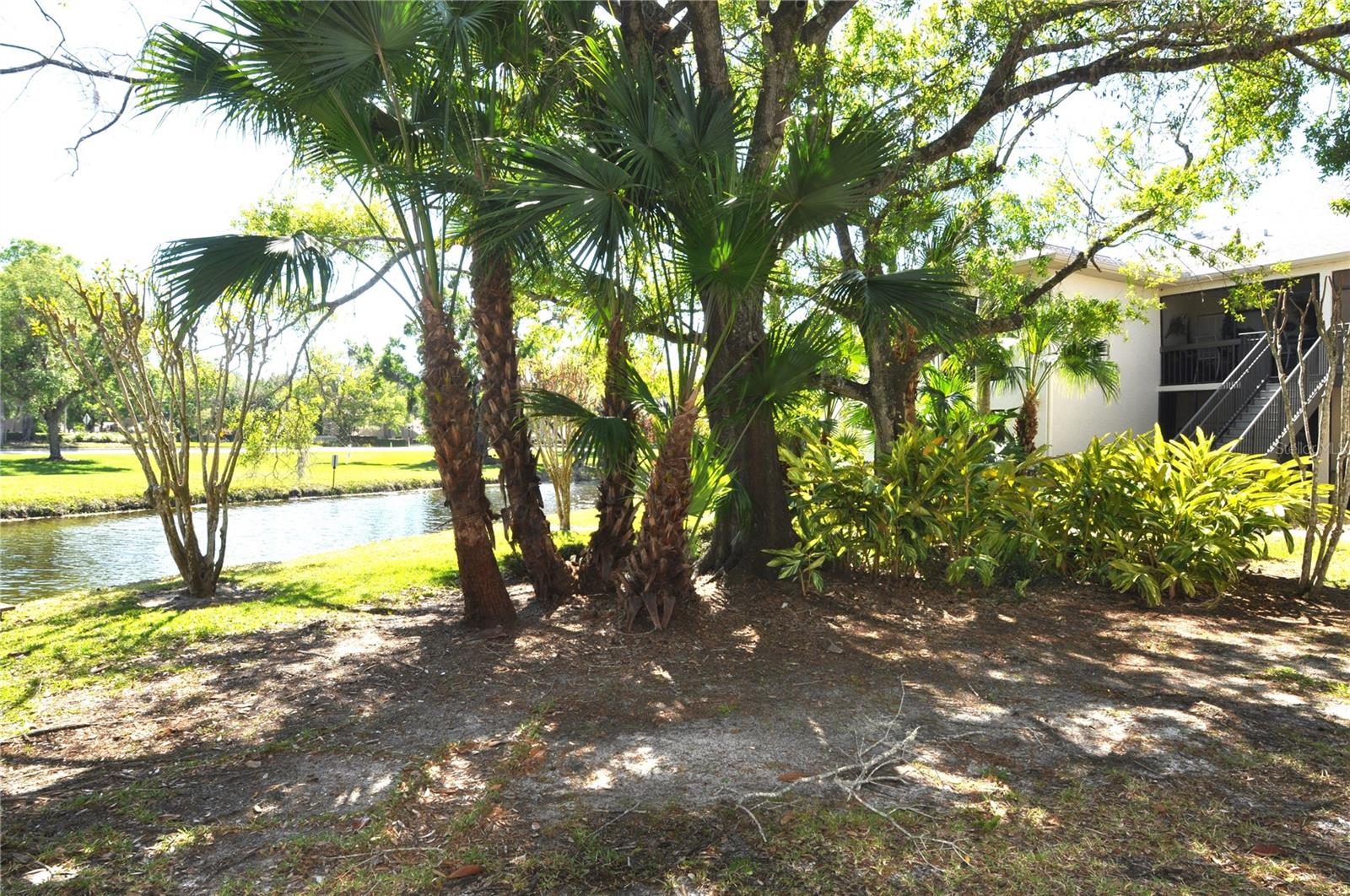 3358 MERMOOR DR #2106, PALM HARBOR, FL, 34685