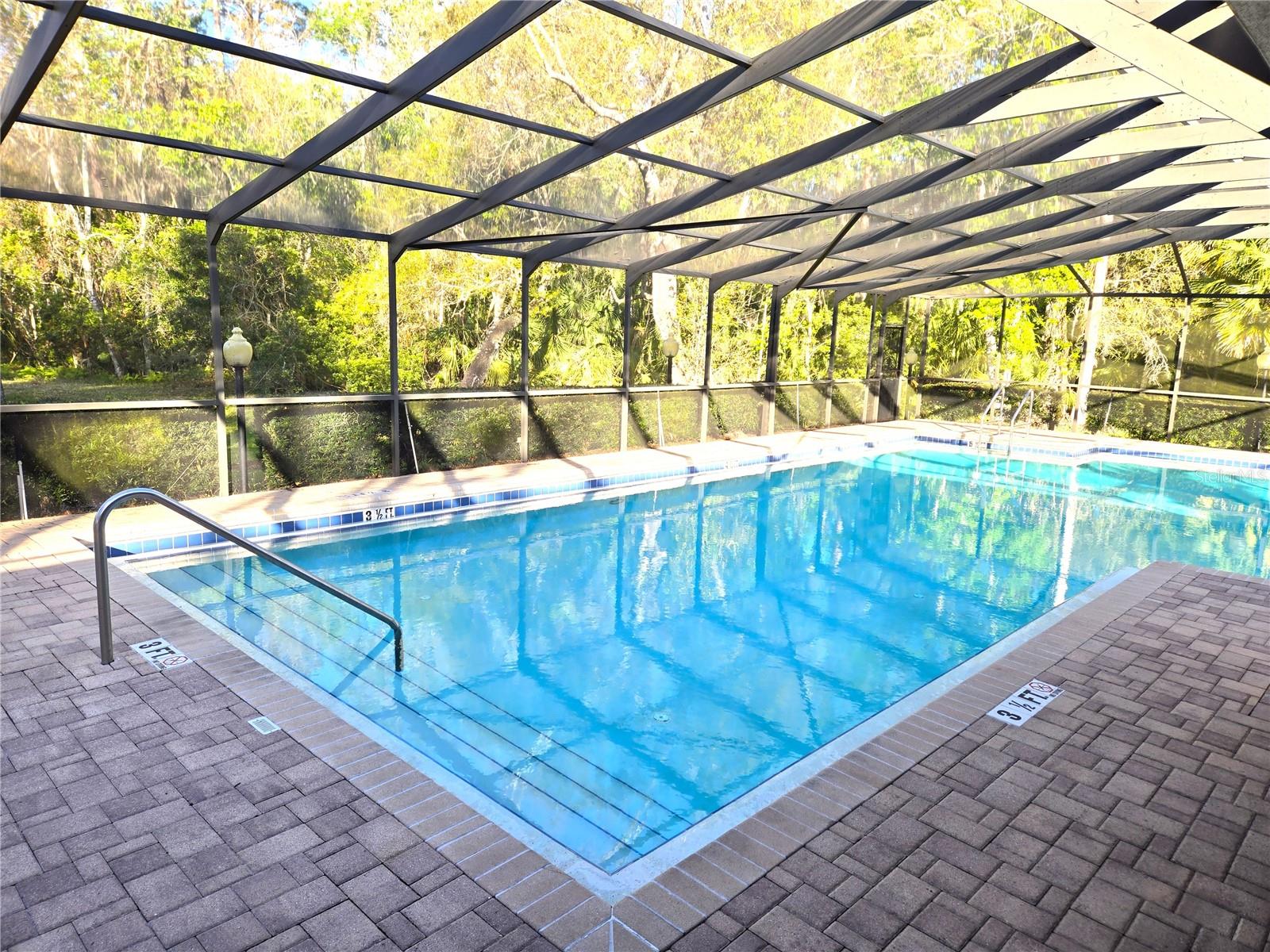 3358 MERMOOR DR #2106, PALM HARBOR, FL, 34685