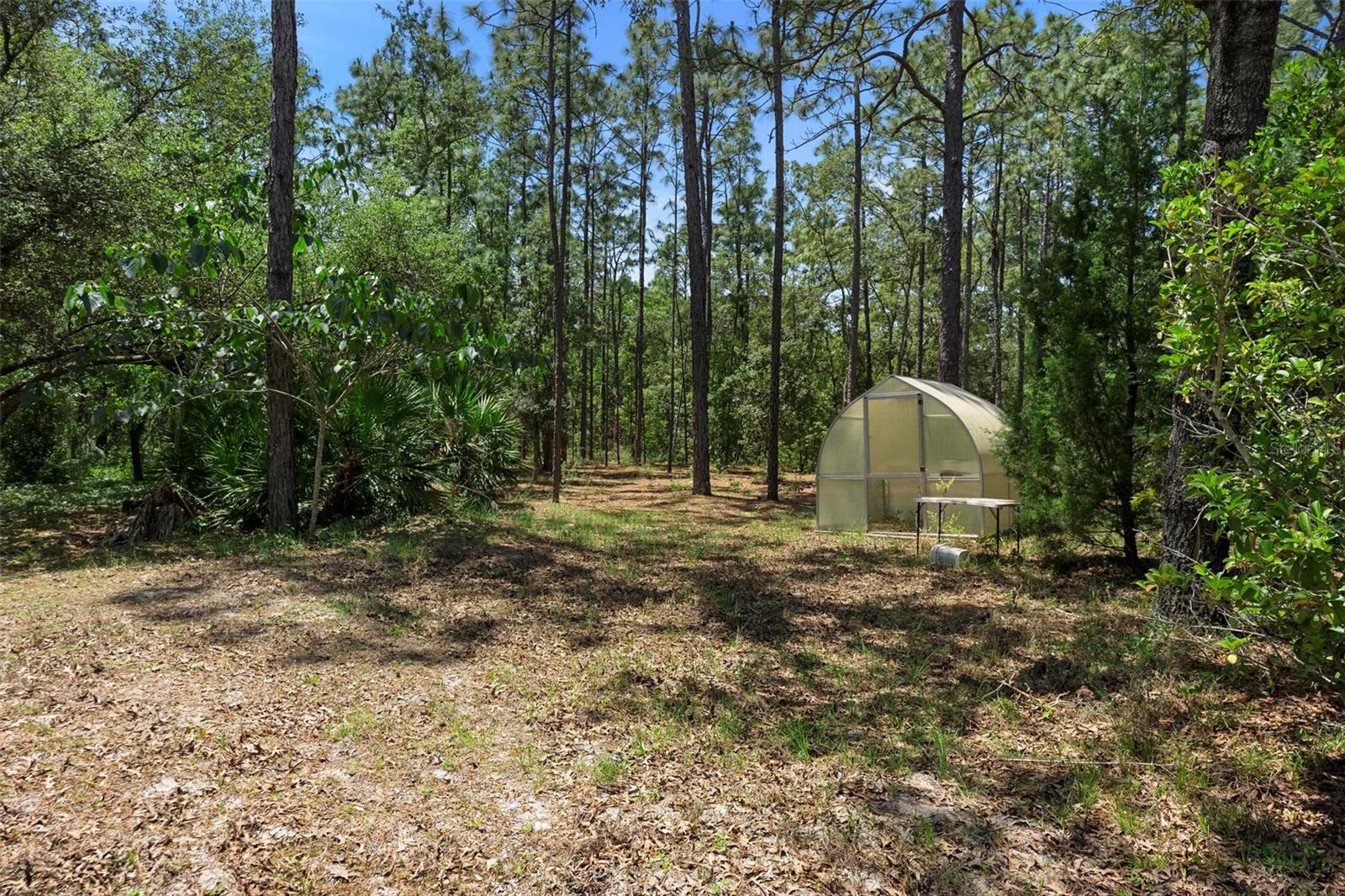 3510 W COGWOOD CIR, BEVERLY HILLS, FL, 34465