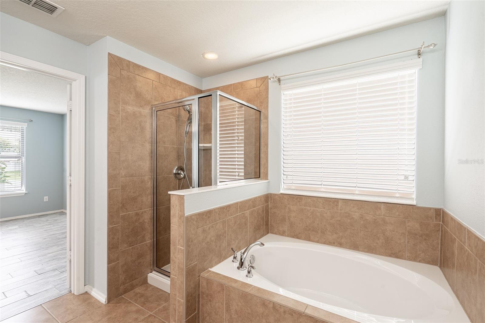 356 GIOVANI BLVD, CLERMONT, FL, 34715