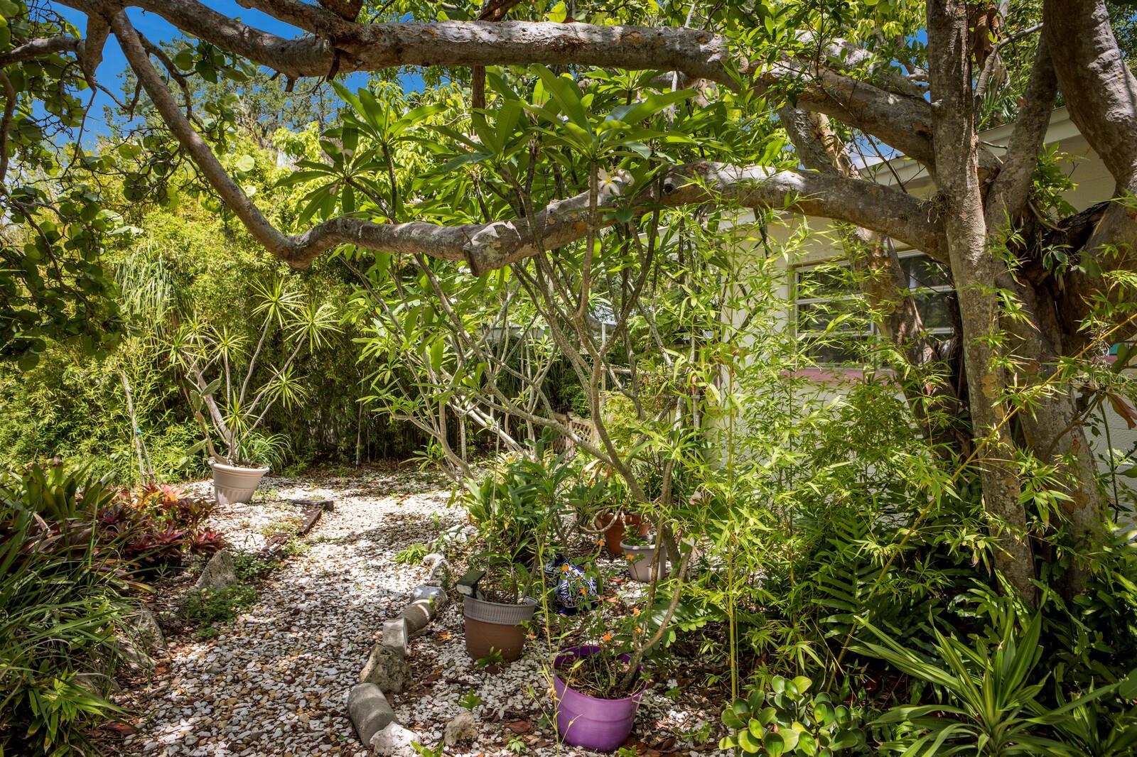 2207 HICKORY AVE, SARASOTA, FL, 34234