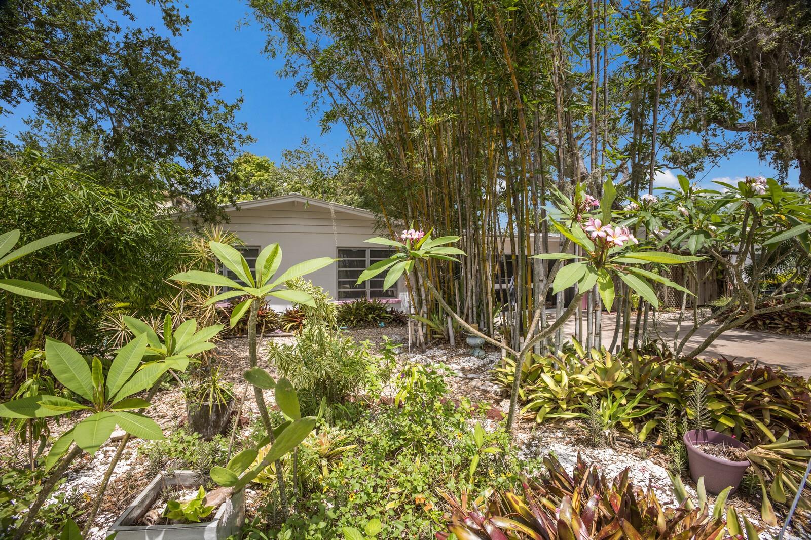 2207 HICKORY AVE, SARASOTA, FL, 34234