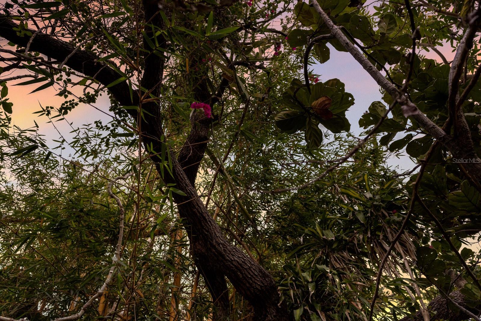 2207 HICKORY AVE, SARASOTA, FL, 34234