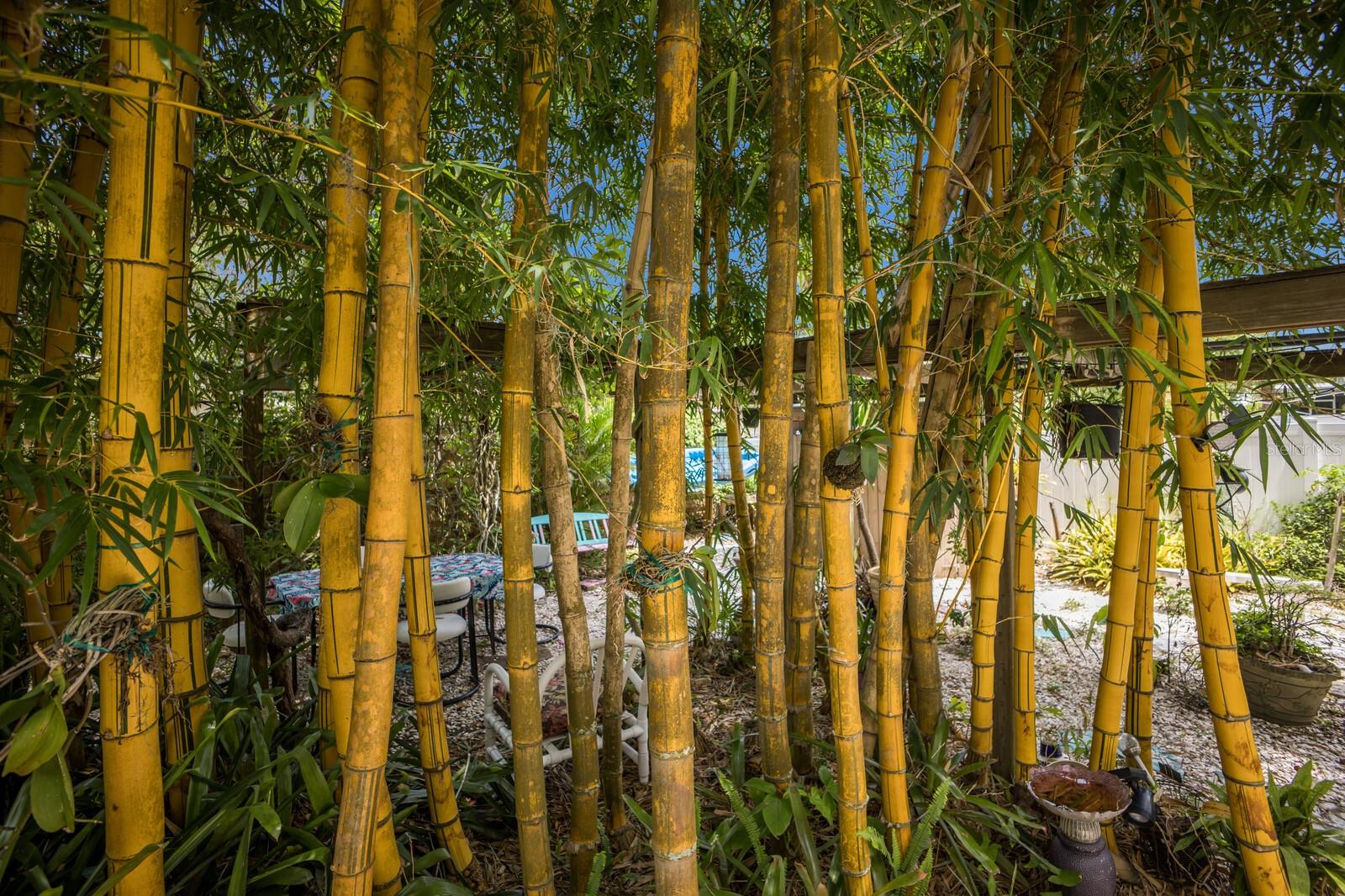 2207 HICKORY AVE, SARASOTA, FL, 34234