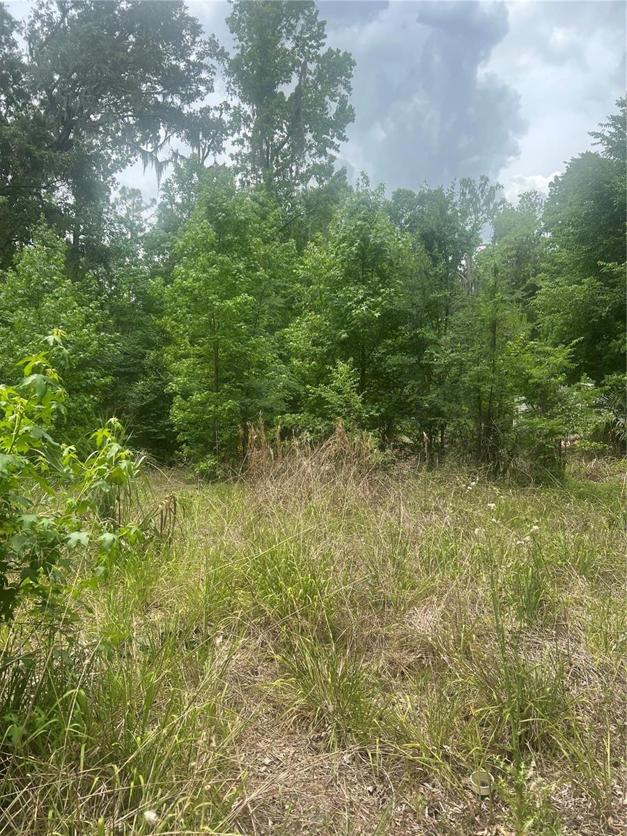 2614 CR 412, LAKE PANASOFFKEE, FL, 33538