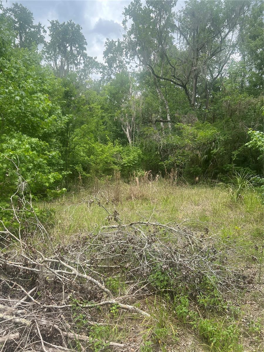 2614 CR 412, LAKE PANASOFFKEE, FL, 33538