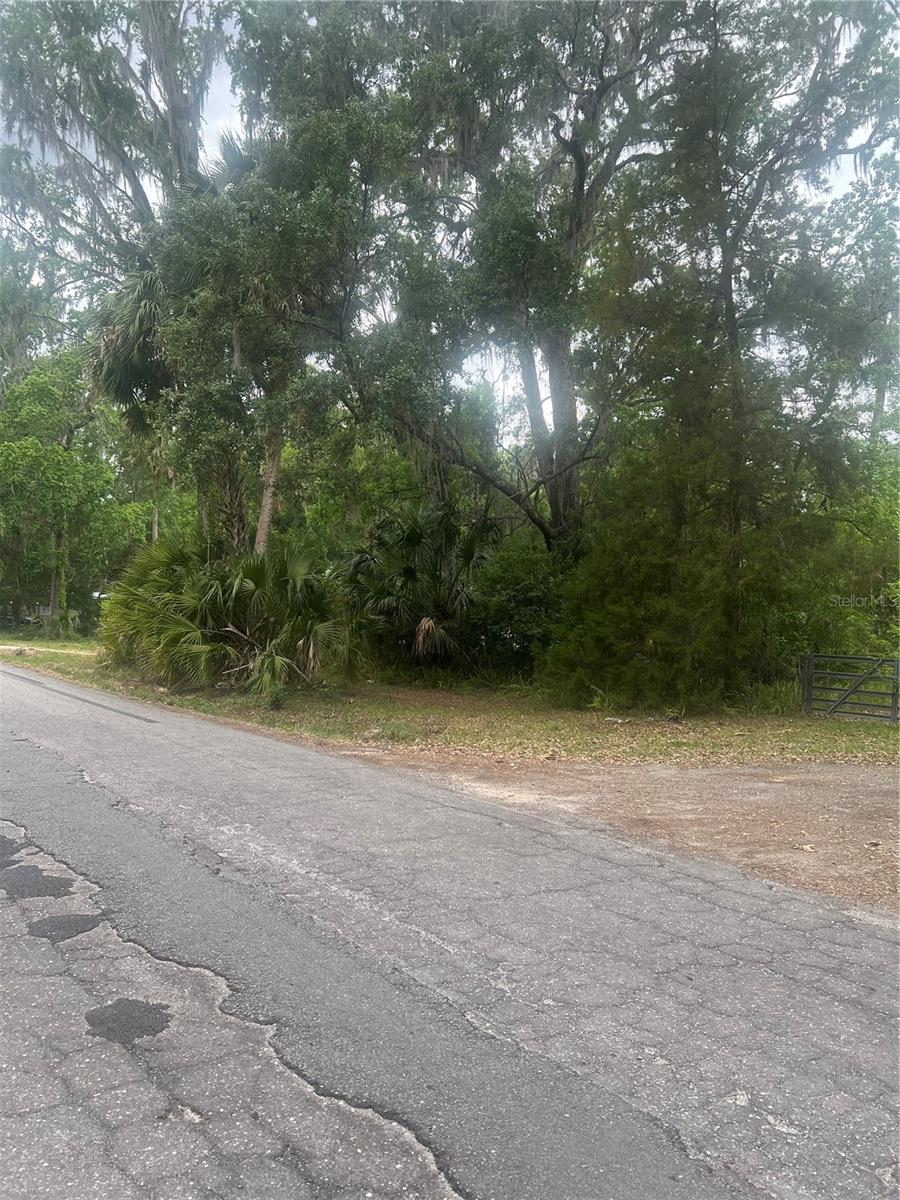 2614 CR 412, LAKE PANASOFFKEE, FL, 33538