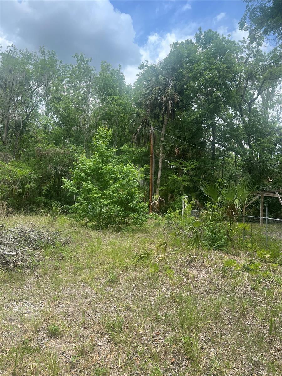 2614 CR 412, LAKE PANASOFFKEE, FL, 33538