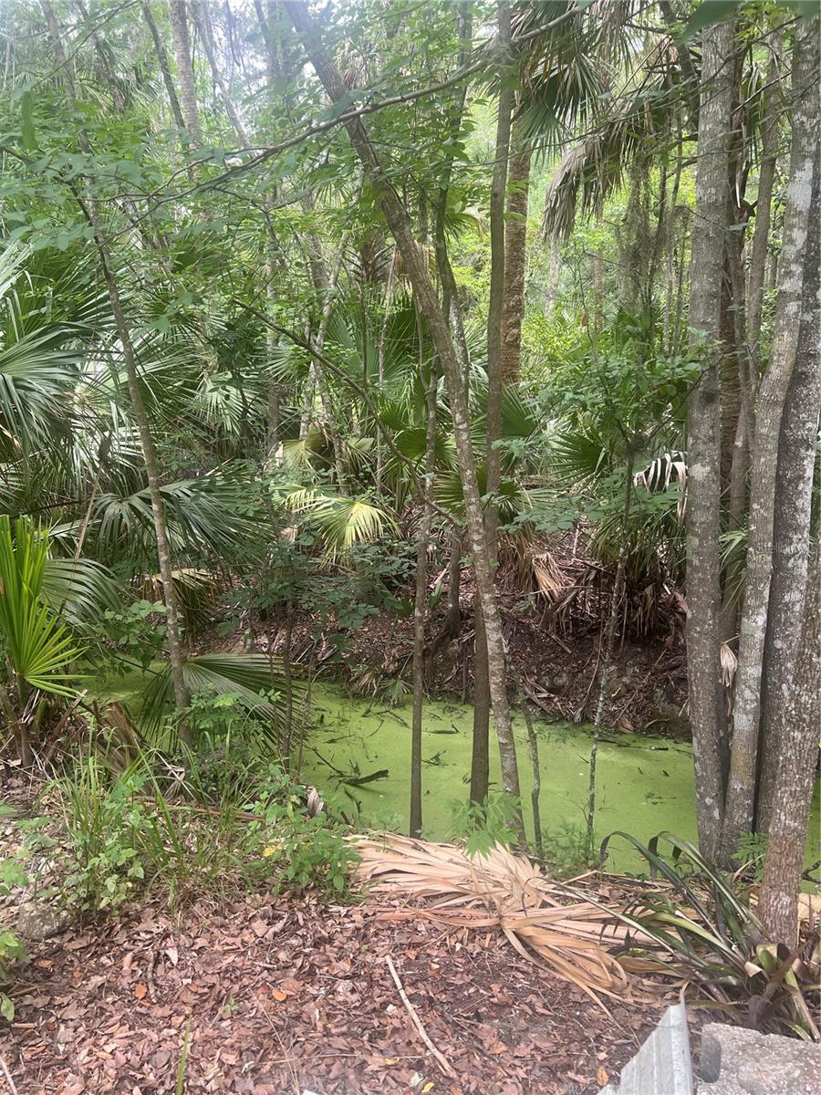 2614 CR 412, LAKE PANASOFFKEE, FL, 33538