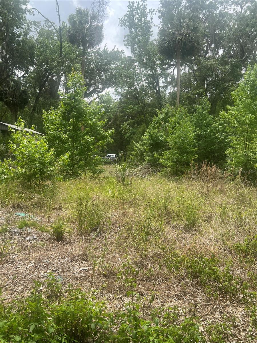 2614 CR 412, LAKE PANASOFFKEE, FL, 33538