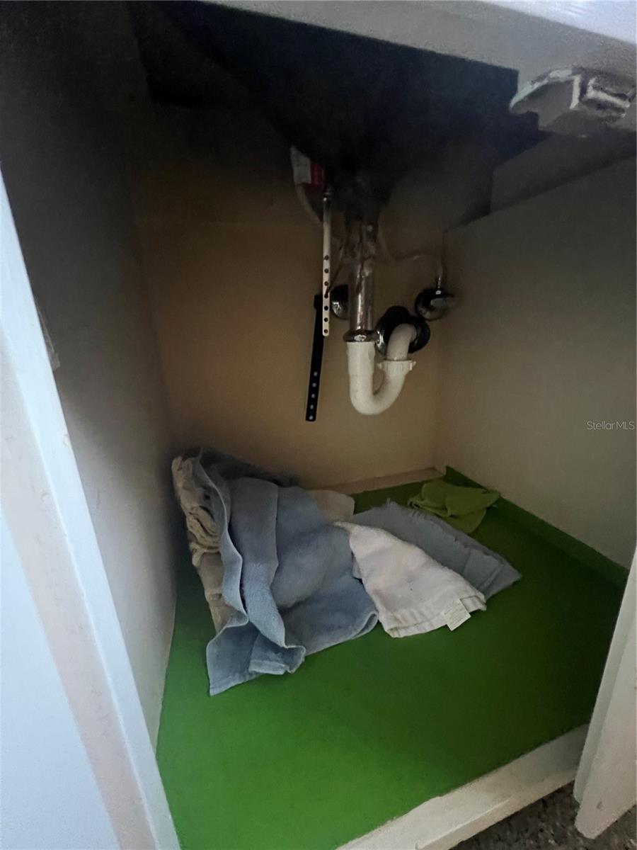 2507 HOLLIS DR, TAMPA, FL, 33618