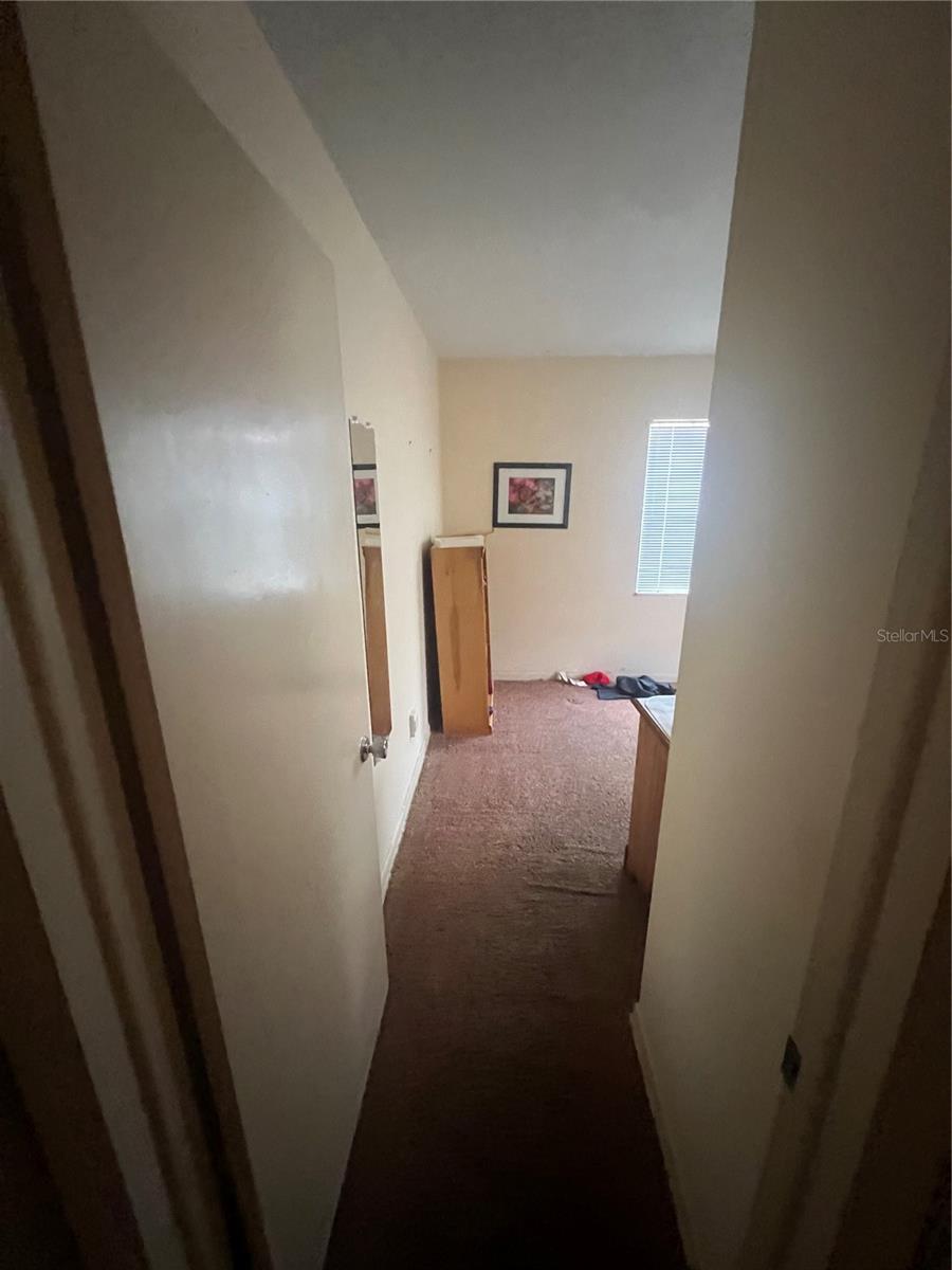 2507 HOLLIS DR, TAMPA, FL, 33618