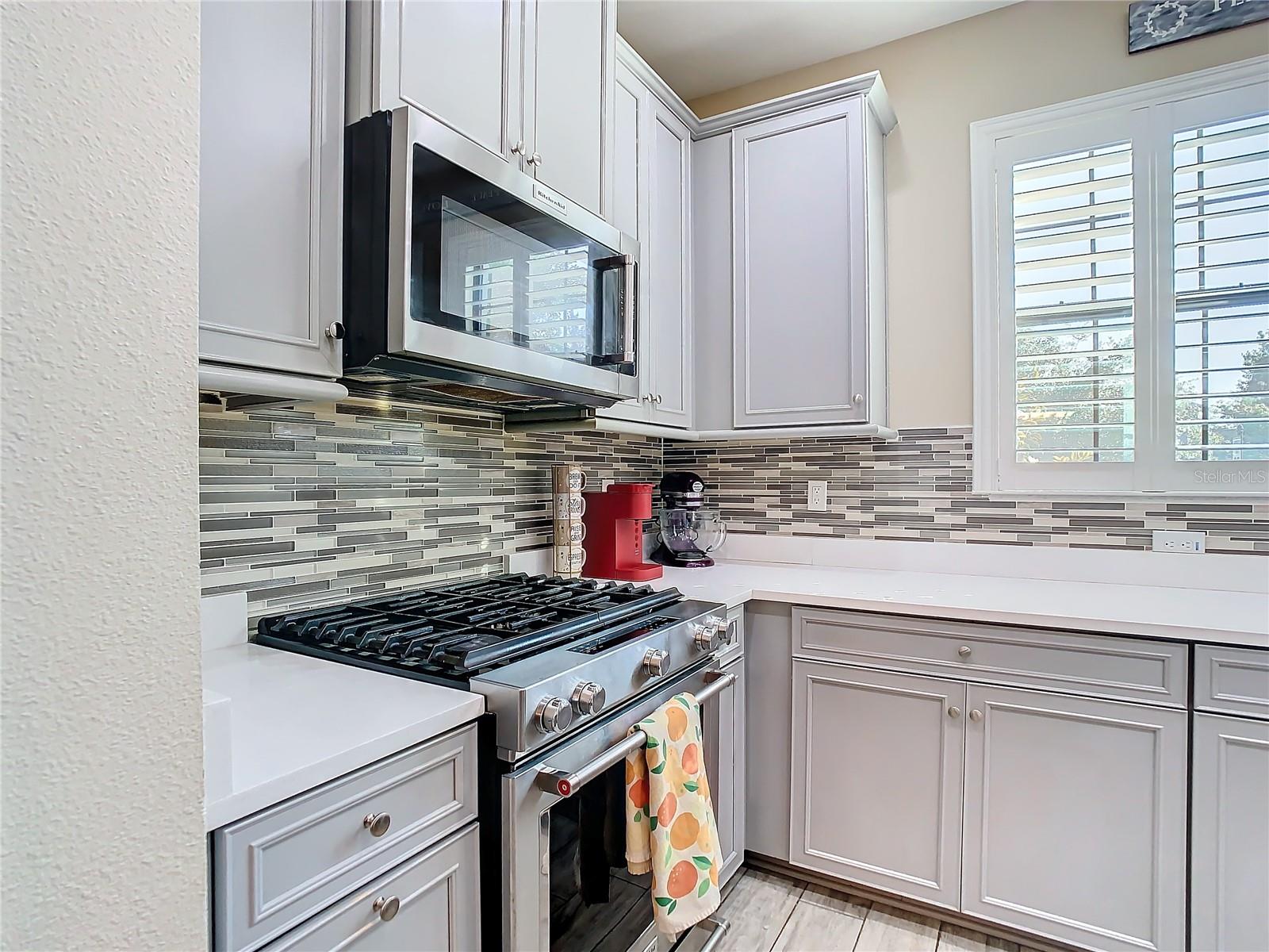 5807 CIRCA FISHHAWK BLVD, LITHIA, FL, 33547