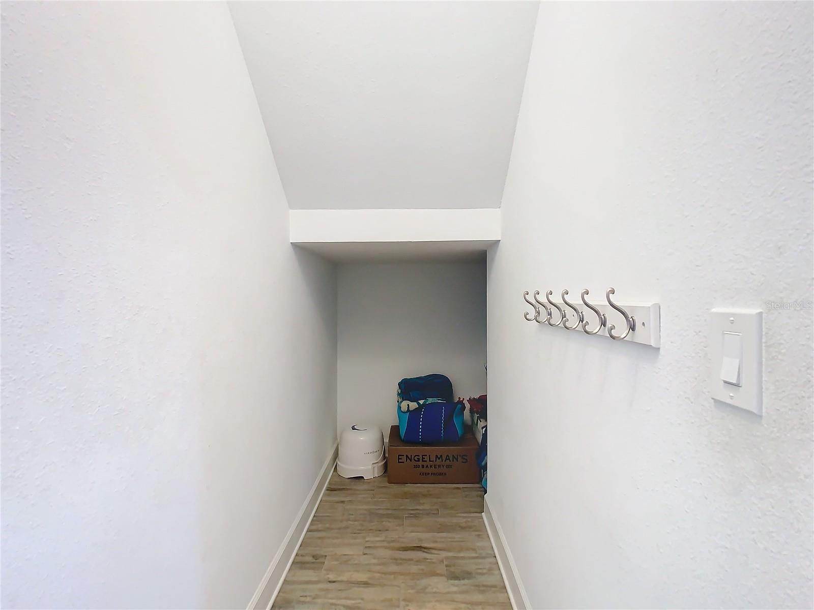 5807 CIRCA FISHHAWK BLVD, LITHIA, FL, 33547