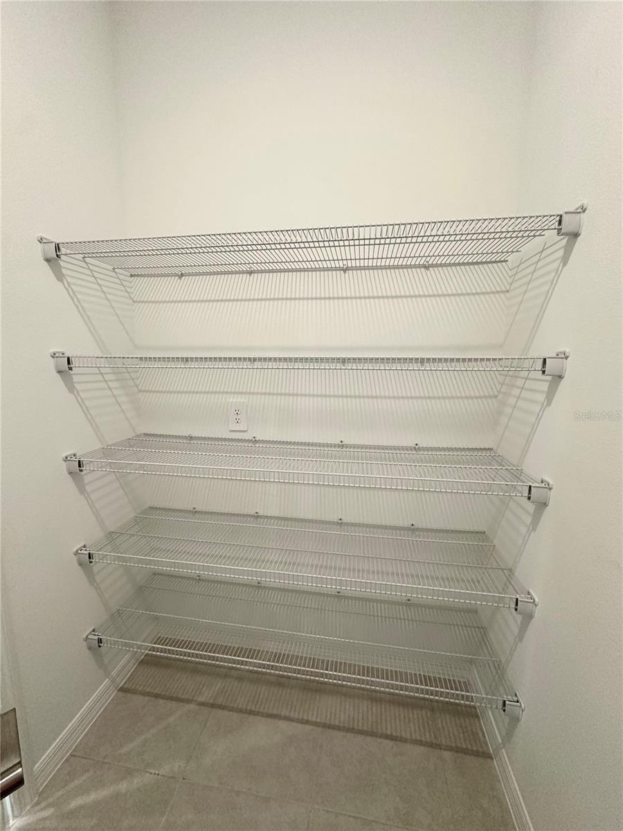 10019 TRUMPET HONEYSUCKLE WAY, SAN ANTONIO, FL, 33576