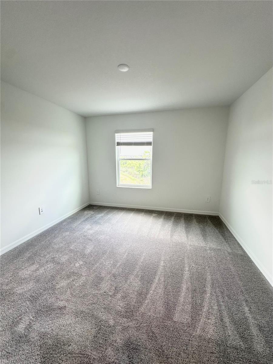 10019 TRUMPET HONEYSUCKLE WAY, SAN ANTONIO, FL, 33576