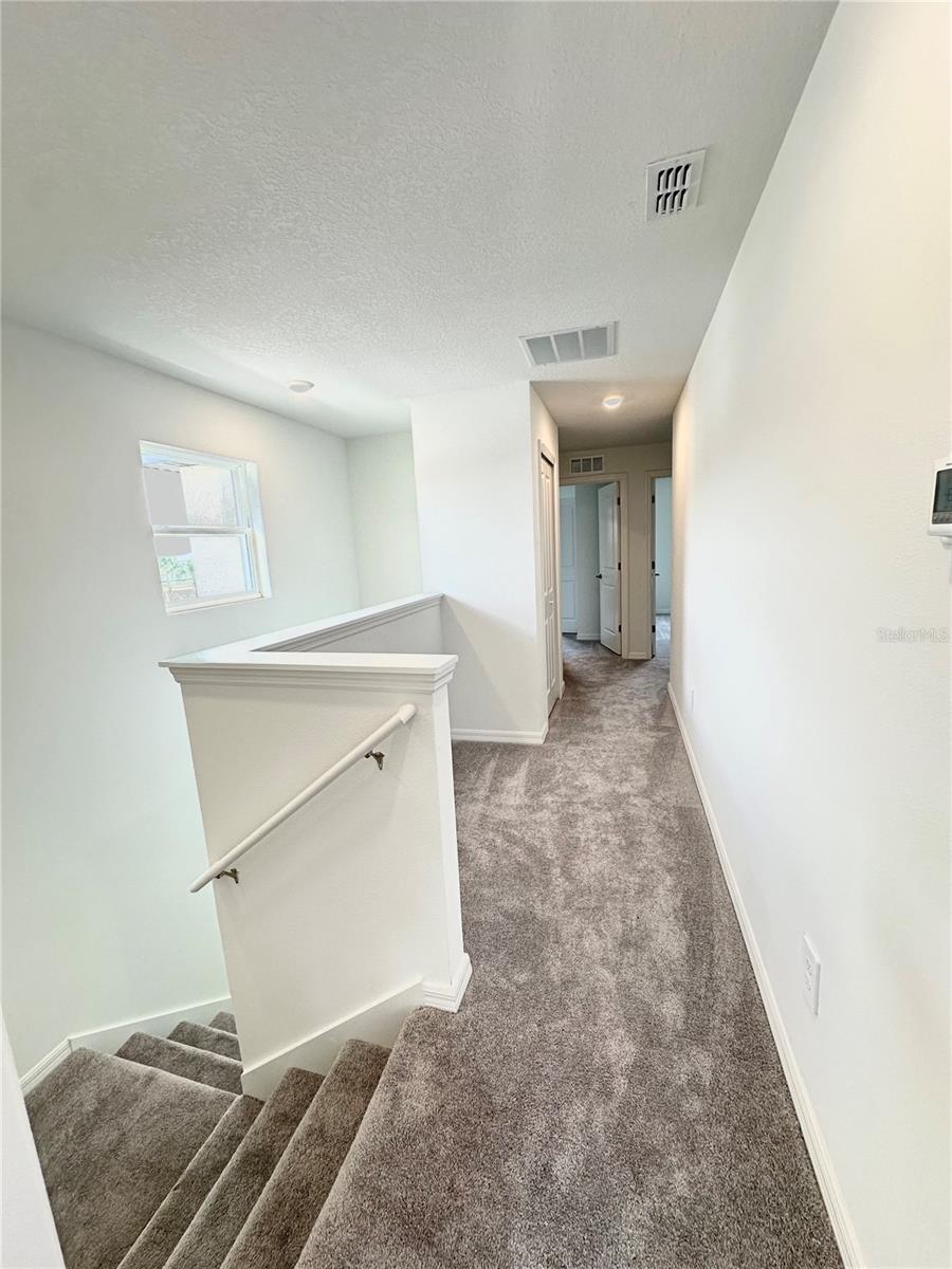 10019 TRUMPET HONEYSUCKLE WAY, SAN ANTONIO, FL, 33576