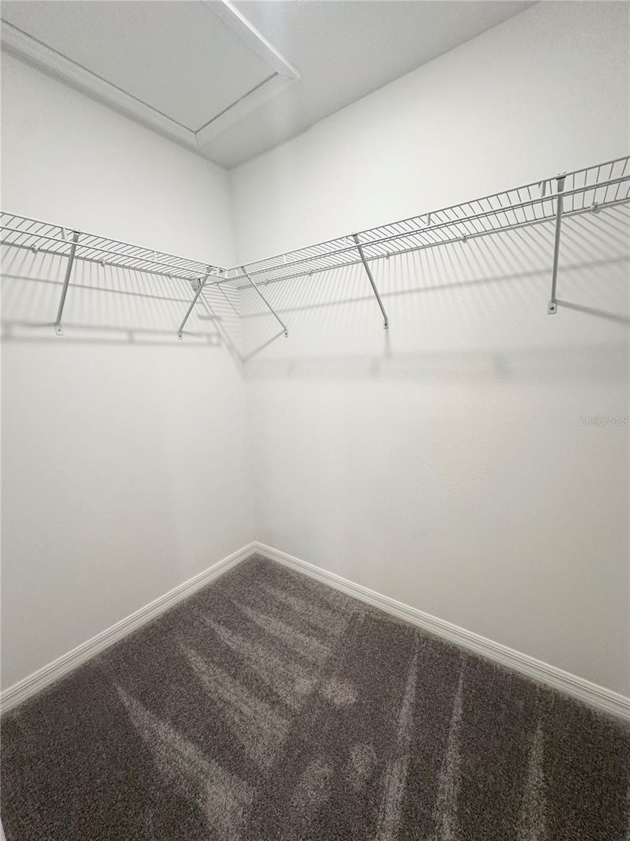 10019 TRUMPET HONEYSUCKLE WAY, SAN ANTONIO, FL, 33576