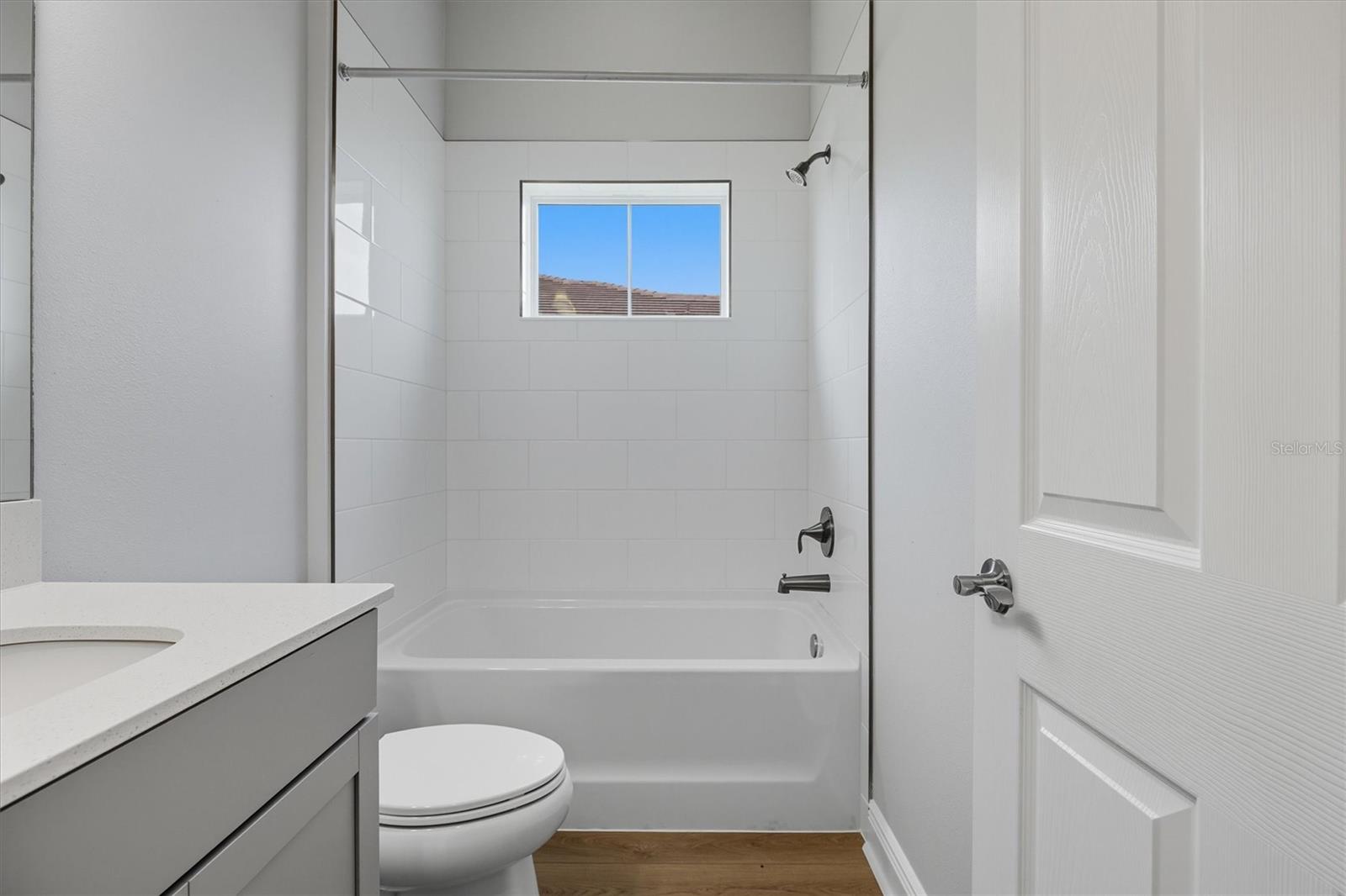 10321 SURREY ROSE DR, SAN ANTONIO, FL, 33576