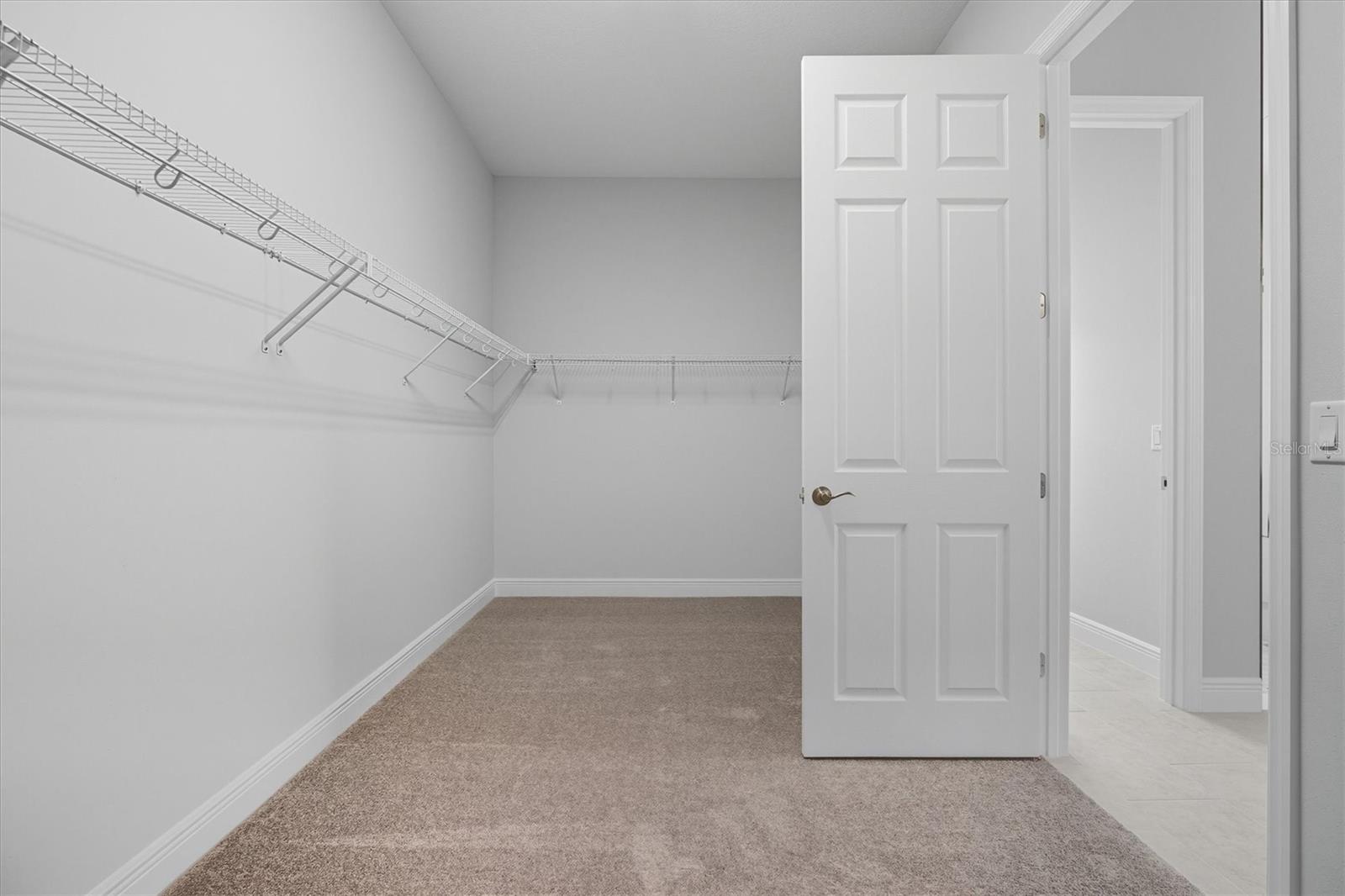 10321 SURREY ROSE DR, SAN ANTONIO, FL, 33576