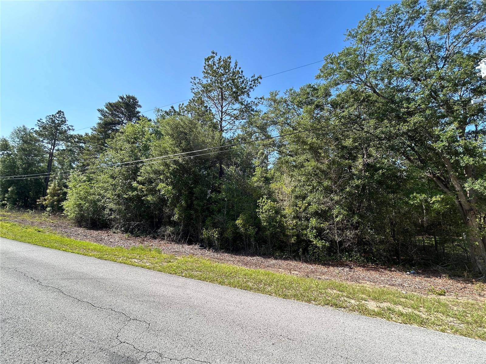 TBD SW AUDUBON AVE, DUNNELLON, FL, 34432