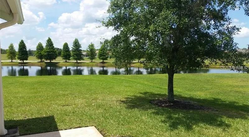 1247 TOLLBRIDGE CT #0, TRINITY, FL, 34655