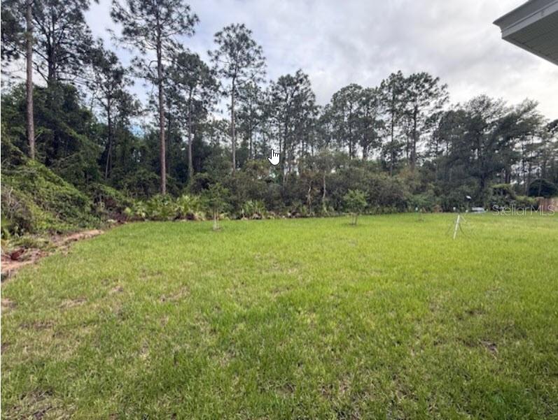 40 LAGUNA FOREST TRL, PALM COAST, FL, 32164