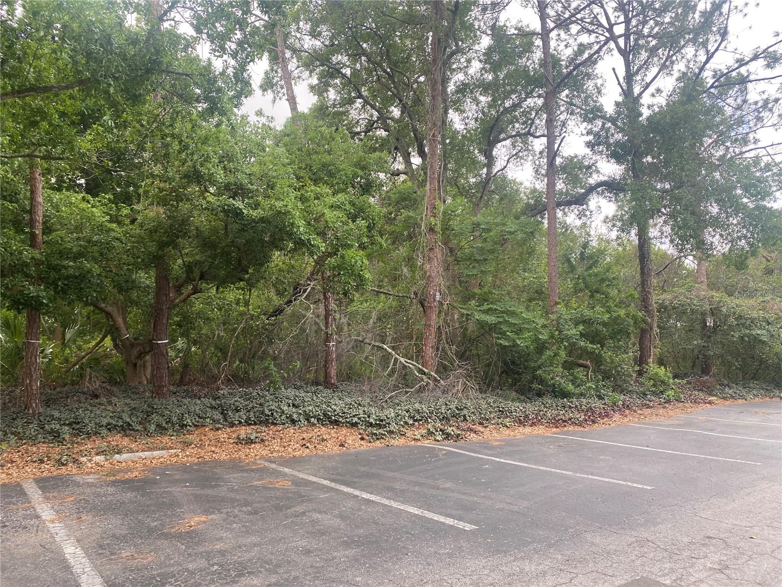 INDIANA AVE, NEW PORT RICHEY, FL, 34653