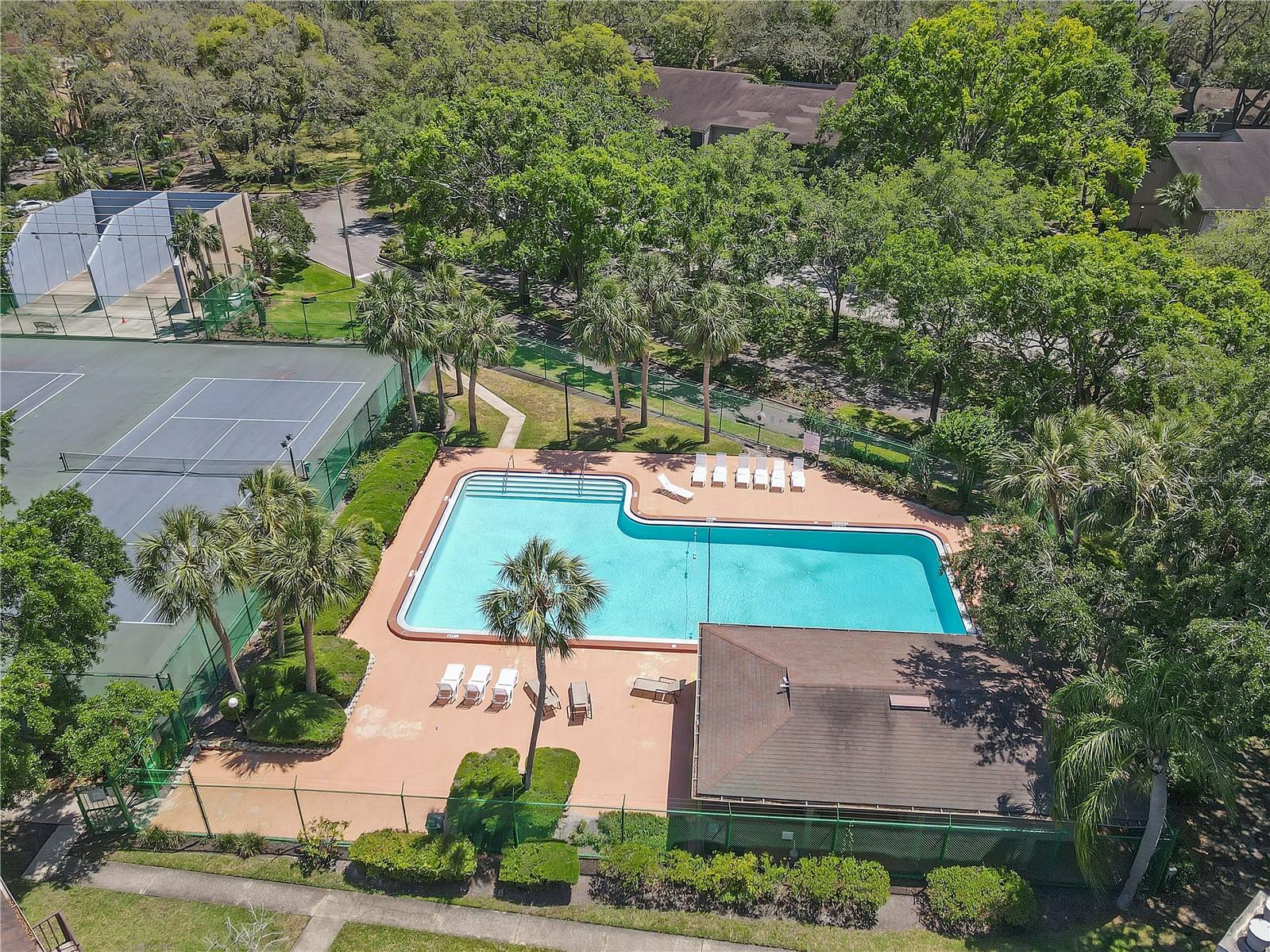 14317 HANGING MOSS CIR #202, TAMPA, FL, 33613