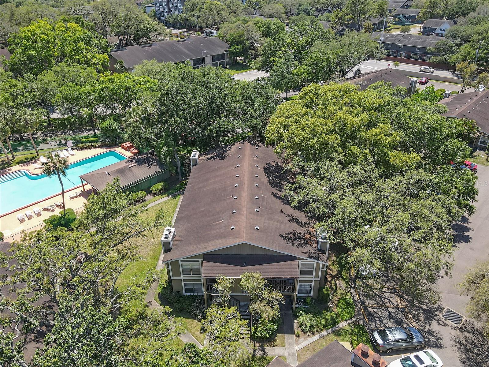 14317 HANGING MOSS CIR #202, TAMPA, FL, 33613