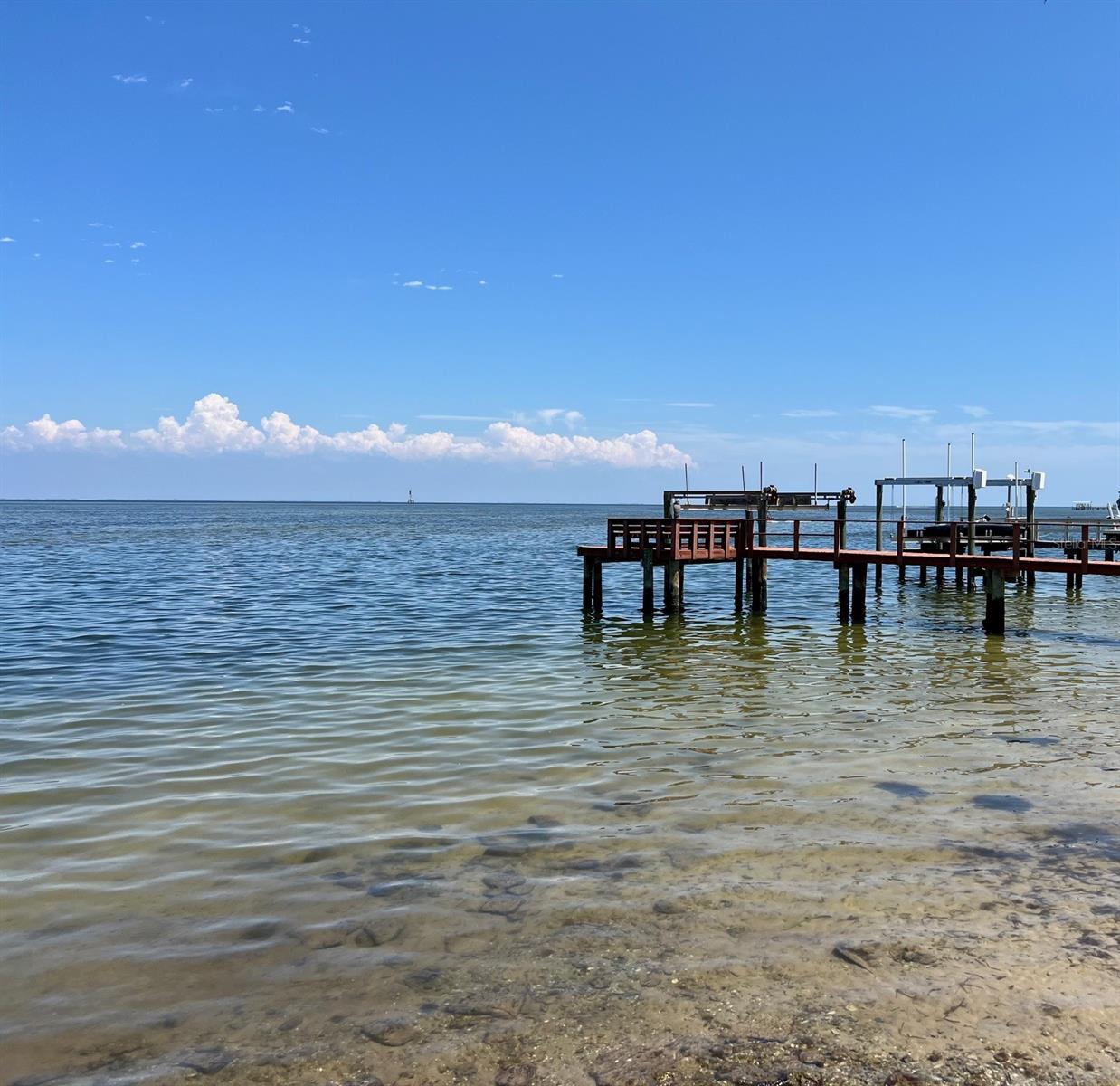 1727 NEW HAMPSHIRE AVE NE, ST PETERSBURG, FL, 33703