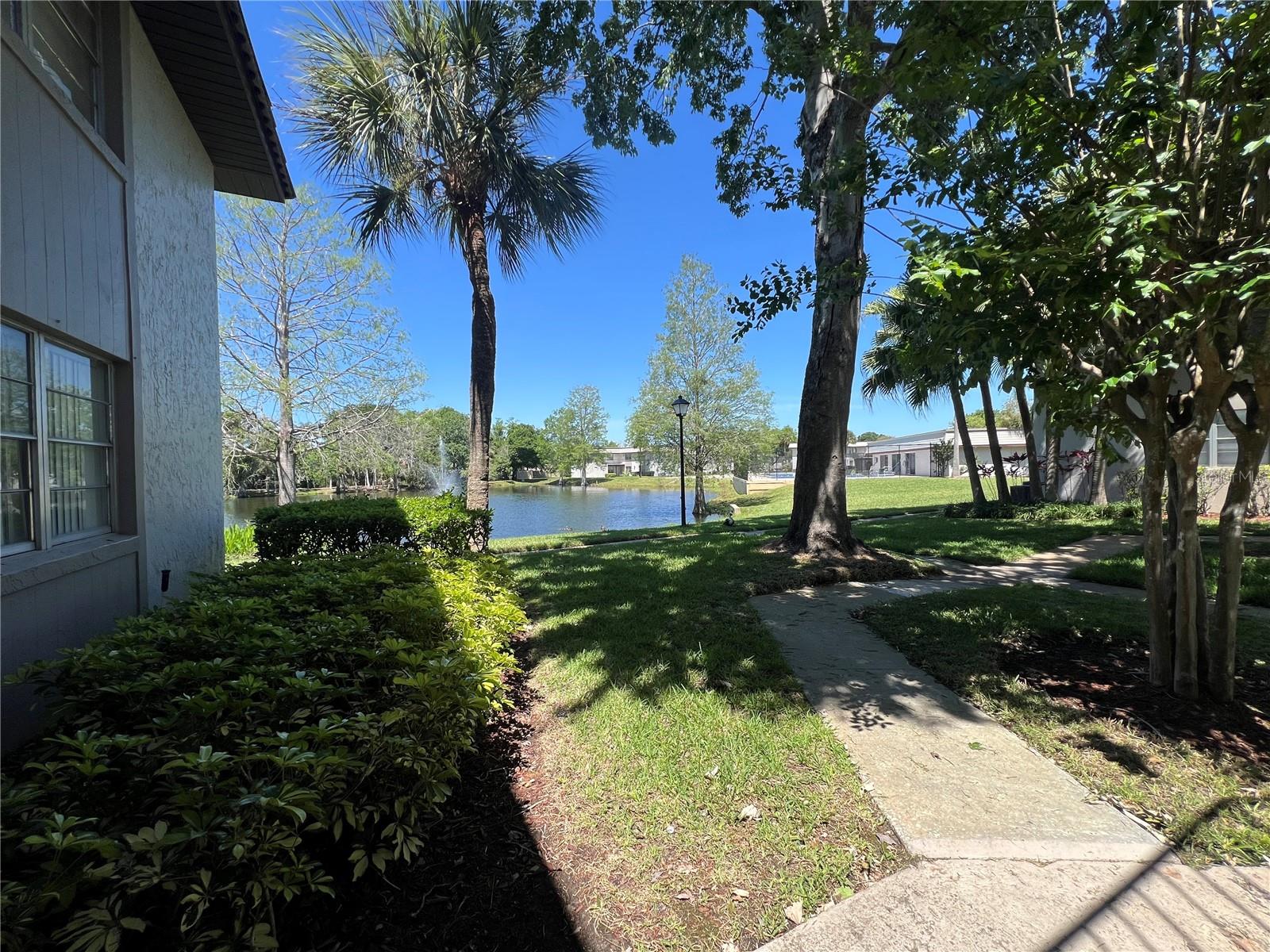 51 WINDTREE LN #101, WINTER GARDEN, FL, 34787