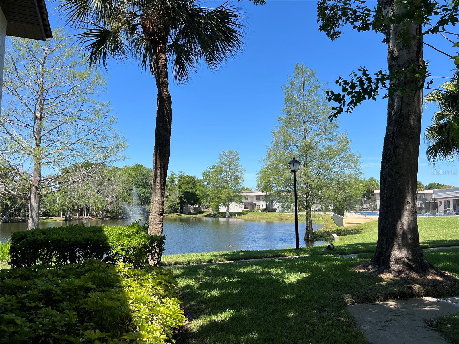 51 WINDTREE LN #101, WINTER GARDEN, FL, 34787