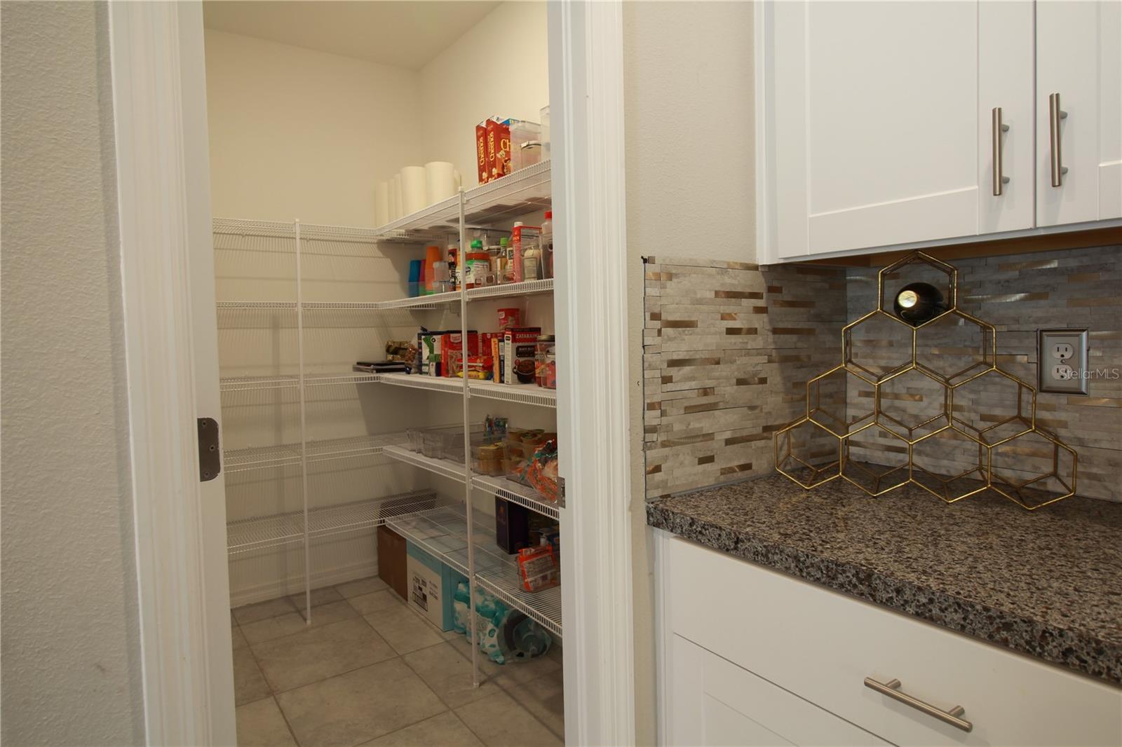 7319 CANTERBURY BELLS CT, TAMPA, FL, 33619