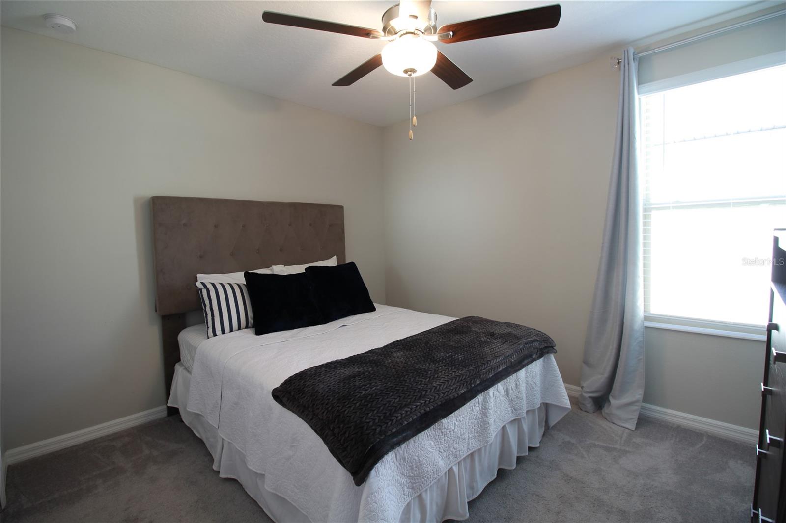 7319 CANTERBURY BELLS CT, TAMPA, FL, 33619