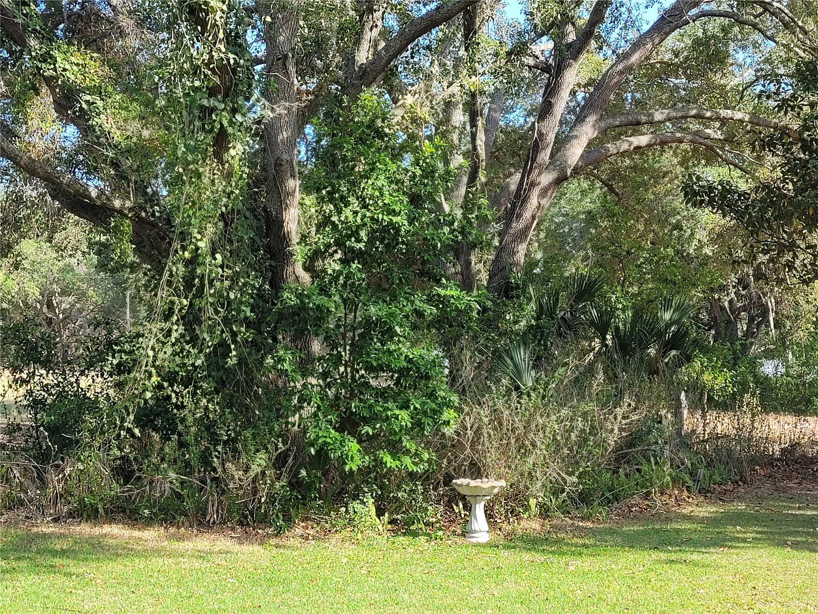 7525 E DEWEY ROBBINS RD, HOWEY IN THE HILLS, FL, 34737