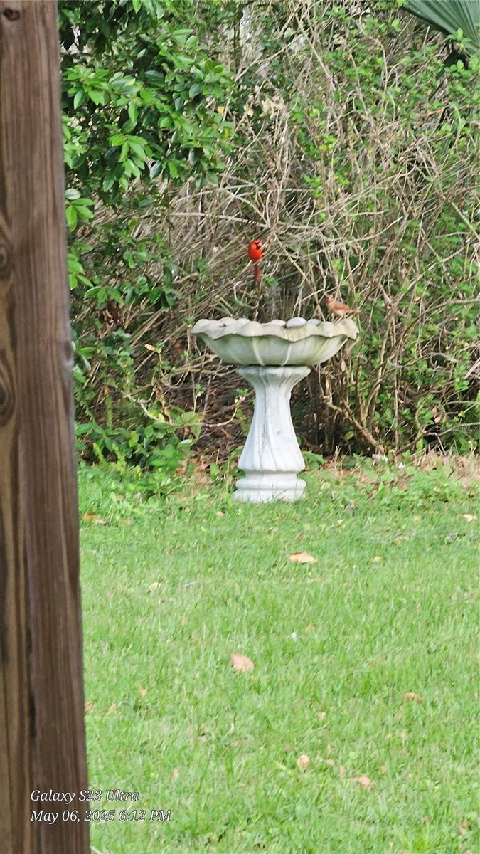 7525 E DEWEY ROBBINS RD, HOWEY IN THE HILLS, FL, 34737