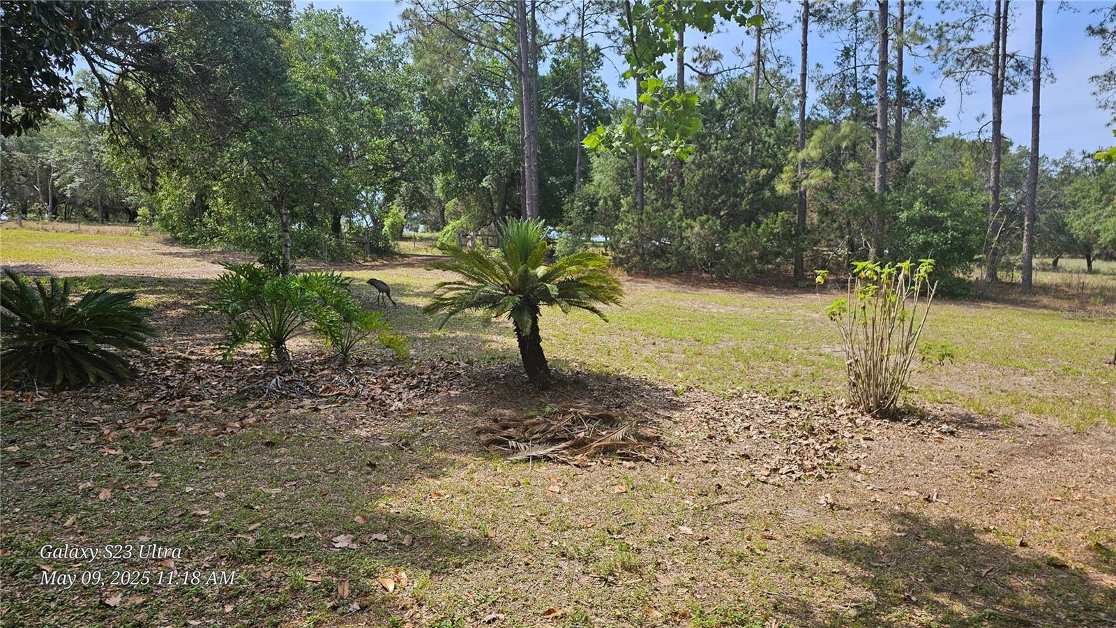 7525 E DEWEY ROBBINS RD, HOWEY IN THE HILLS, FL, 34737