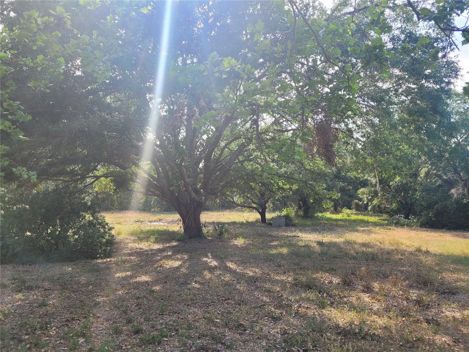 7525 E DEWEY ROBBINS RD, HOWEY IN THE HILLS, FL, 34737