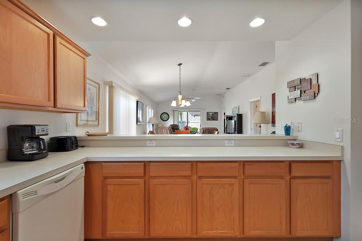 1787 FOLIAGE LN, THE VILLAGES, FL, 32162