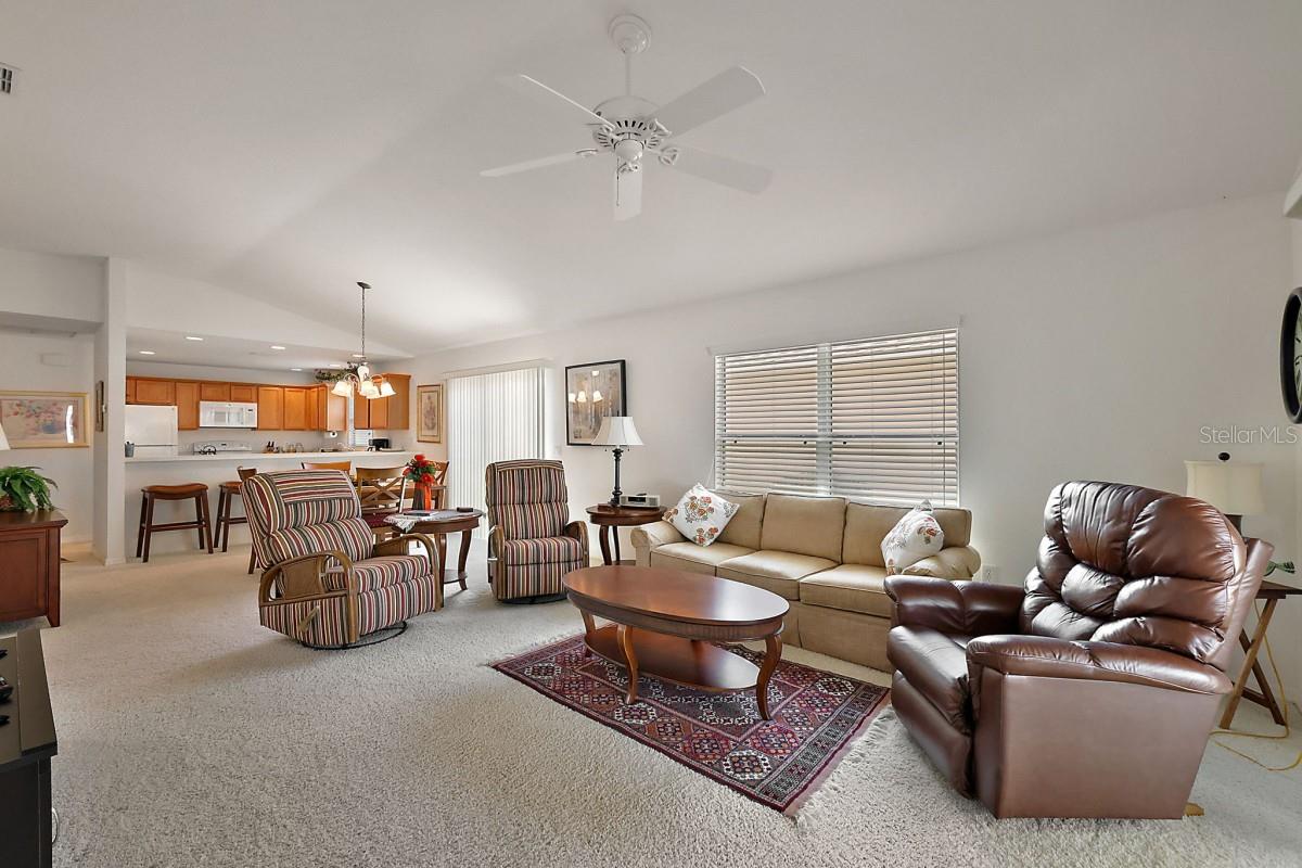 1787 FOLIAGE LN, THE VILLAGES, FL, 32162