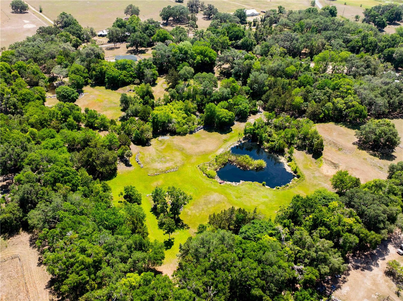 8800 S STEED TER, FLORAL CITY, FL, 34436