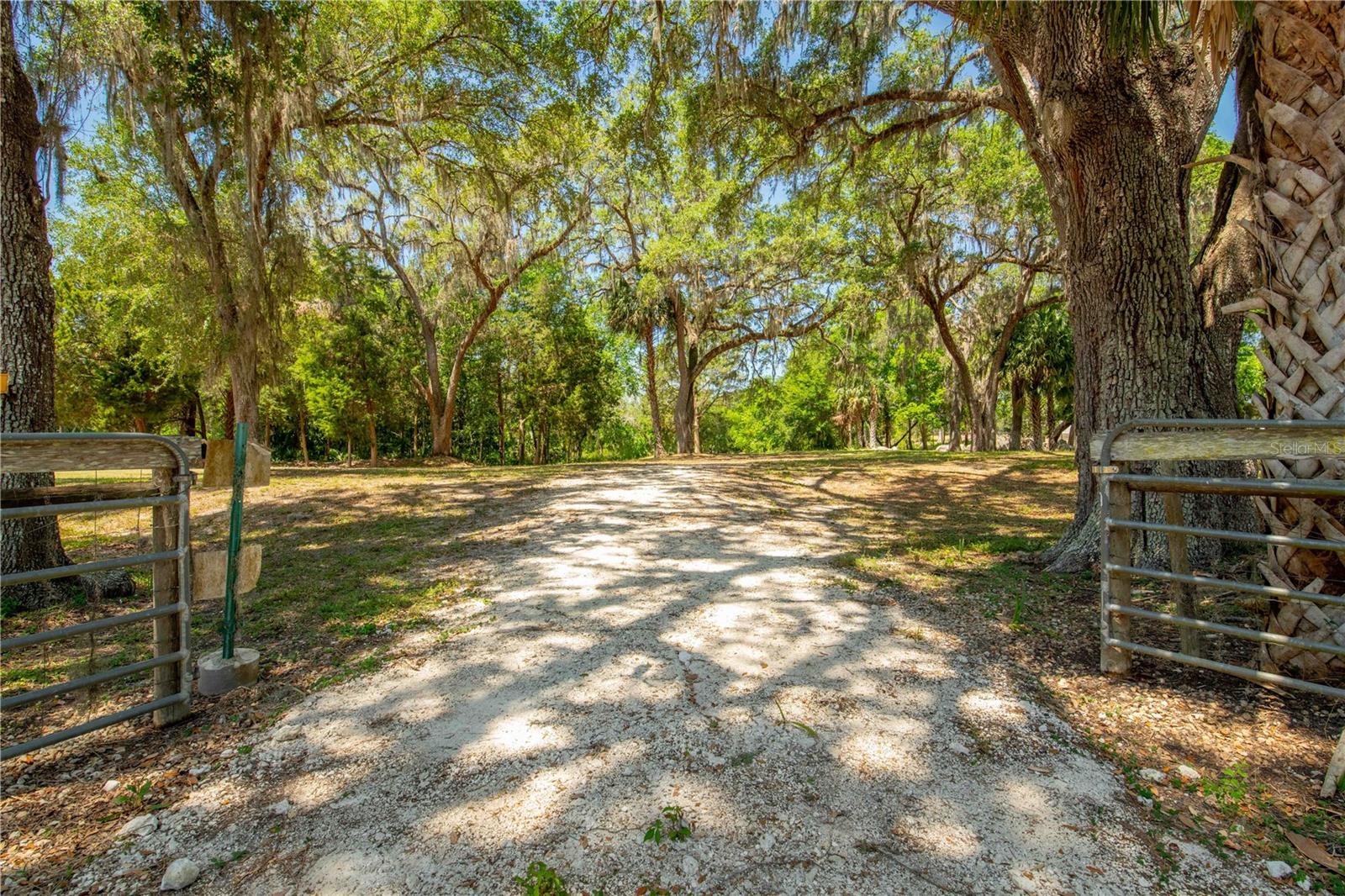 8800 S STEED TER, FLORAL CITY, FL, 34436